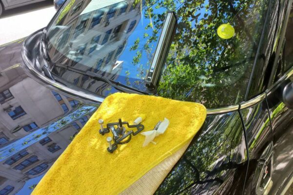 Ремонт тріщин автоскла: що потрібно знати киянам